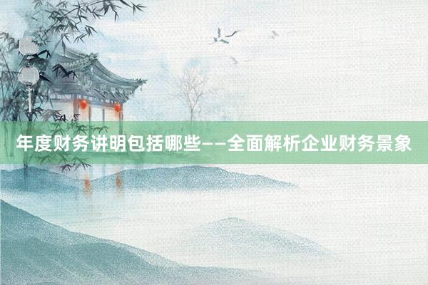 年度财务讲明包括哪些——全面解析企业财务景象